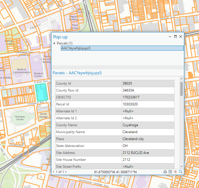 ArcGIS Pro Zoomed In